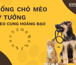 GIỐNG CHÓ MÈO PHÙ HỢP VỚI 12 CUNG HOÀNG ĐẠO - CHỌN THÚ CƯNG HỢP MỆNH
