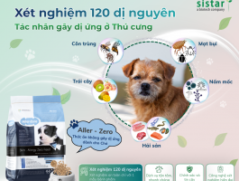 SISTAR VIETNAM – NHÀ TÀI TRỢ VÀNG ĐỒNG HÀNH CÙNG HỘI NGHỊ THƯỜNG NIÊN CHI HỘI THÚ Y THÚ NHỎ VIỆT NAM LẦN THỨ 3 & HỘI NGHỊ KHOA HỌC HỘI DA LIỄU THÚ Y CHÂU Á LẦN THỨ 8