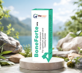 BoneForte Hỗ Trợ Xương cho Chó Mèo