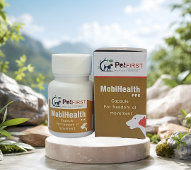 MobiHealth Hỗ Trợ Khớp cho Chó Mèo