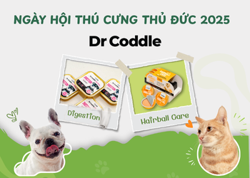 Sistar Vietnam đồng hành cùng Ngày hội thú cưng Thủ Đức 2025