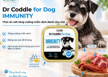 Dr Coddle for Dog IMMUNITY - Thức ăn ướt tăng cường miễn dịch dành cho chó