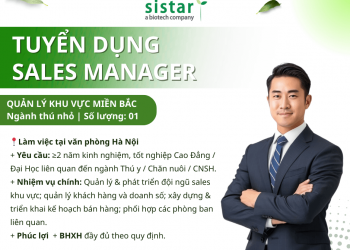 Sistar Vietnam tuyển Quản Lý Khu Vực Miền Bắc - Thú Nhỏ